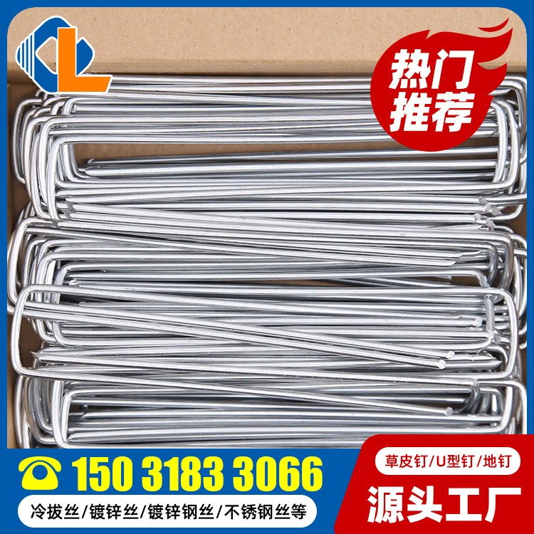 方頭草坪釘 土工格柵草坪釘尺寸規(guī)范 地釘子 地釘一般釘什么東西