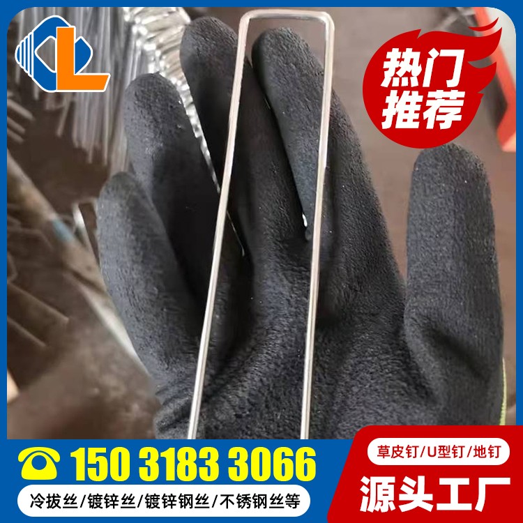 草坪釘價格 地釘型號 鋼塑格柵U型鋼釘規(guī)格型號 土工格柵草皮釘